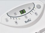 panel-ballu17